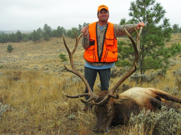 Elk Hunts in Wyoning